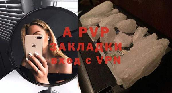 шишки Гусев