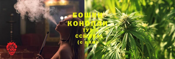 шишки Гусев