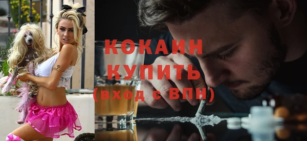 шишки Гусев
