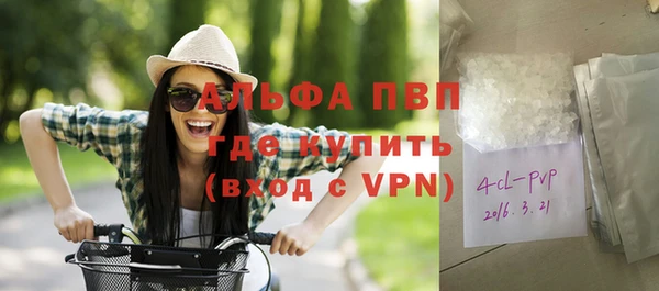 шишки Гусев