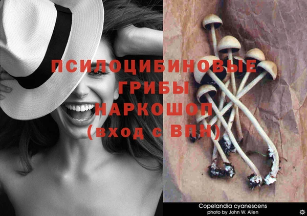 мефедрон мука Гусь-Хрустальный