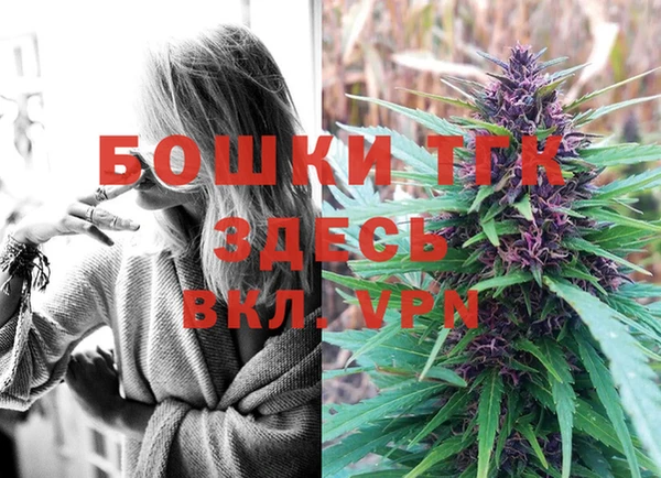 дживик Гусиноозёрск