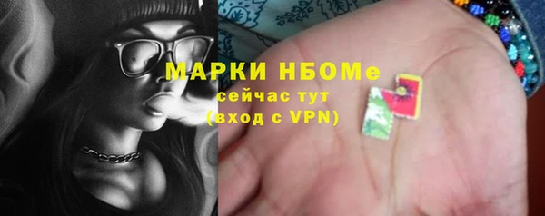 шишки Гусев