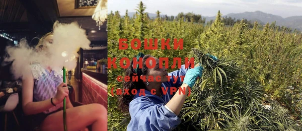 шишки Гусев