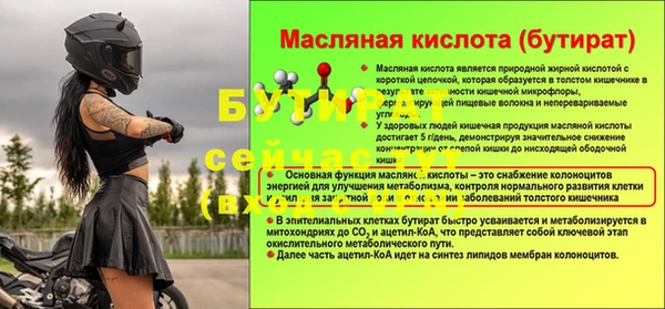 шишки Гусев