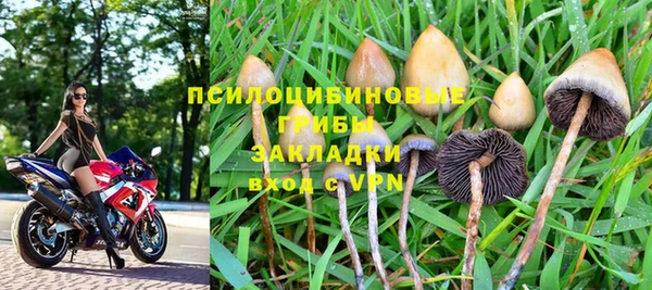 крисы Новозыбков