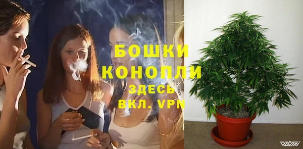 шишки Гусев