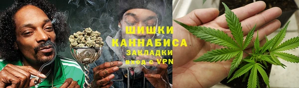 дживик Гусиноозёрск