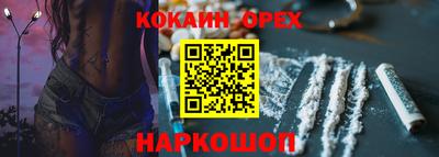 тгк Кингисепп