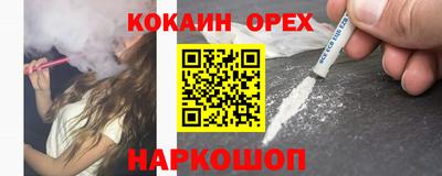 тгк Кингисепп