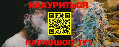 тгк Кингисепп