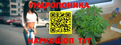 мяу мяу мука Кинель