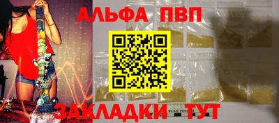 тгк Кингисепп