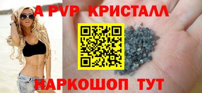 тгк Кингисепп