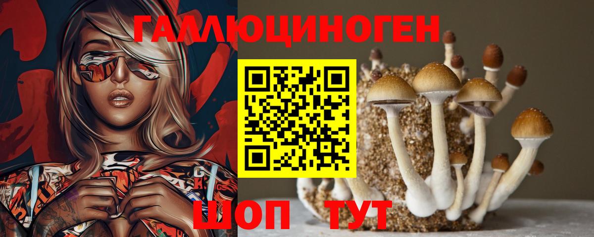 Саянск  Галлюциногенные грибы Psilocybine cubensis  Вход с VPN  купить наркотик  Псилоцибиновые грибы Psilocybine cubensis 